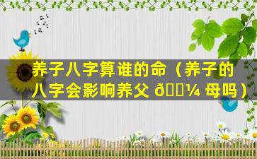 养子八字算谁的命（养子的八字会影响养父 🌼 母吗）